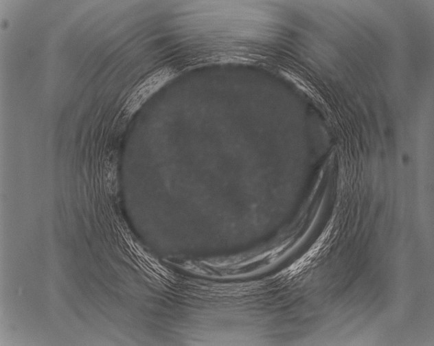 X0000057090977200509301546