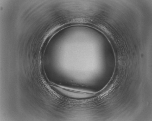 X0000057090981200509301546