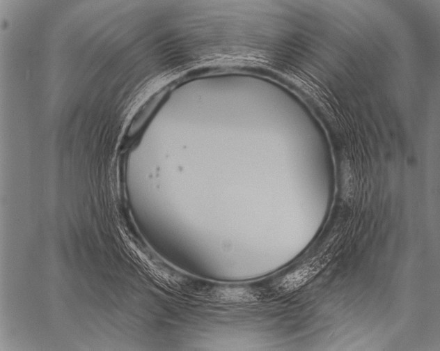 X0000057090982200509301546