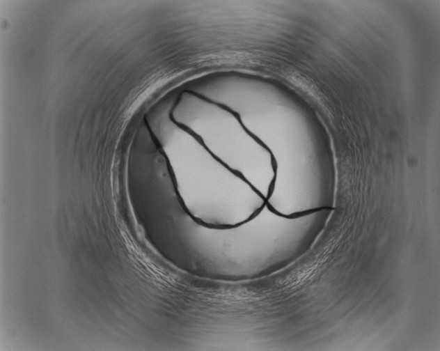 X0000057090983200509301546