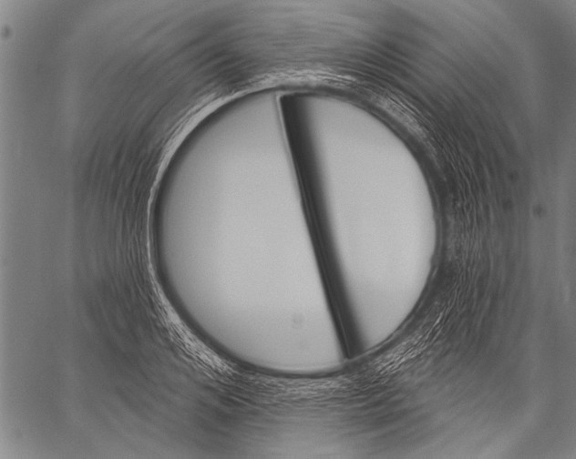 X0000057090984200509301546