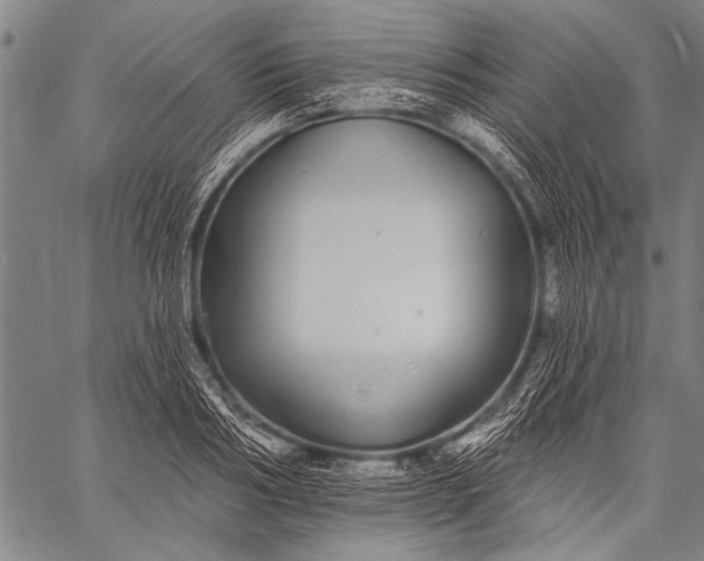 X0000057090986200509301546