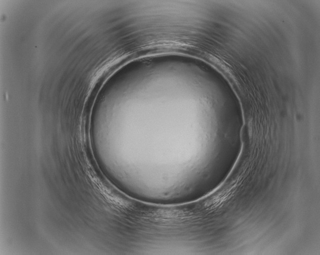 X0000057090987200509301546