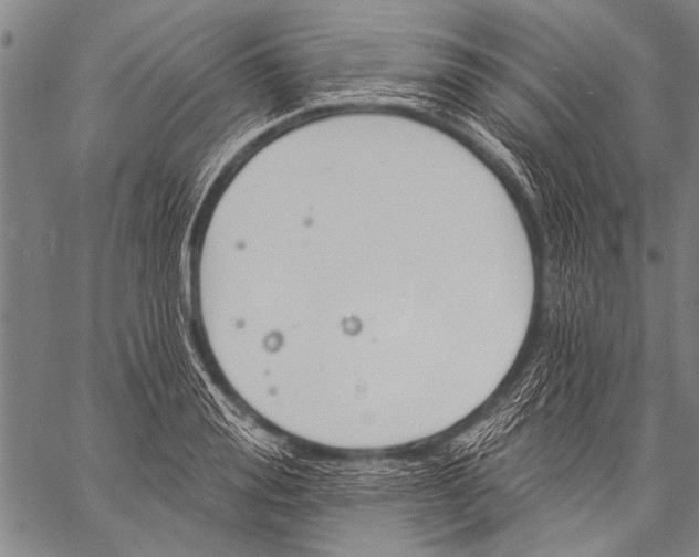 X0000057090988200509301546