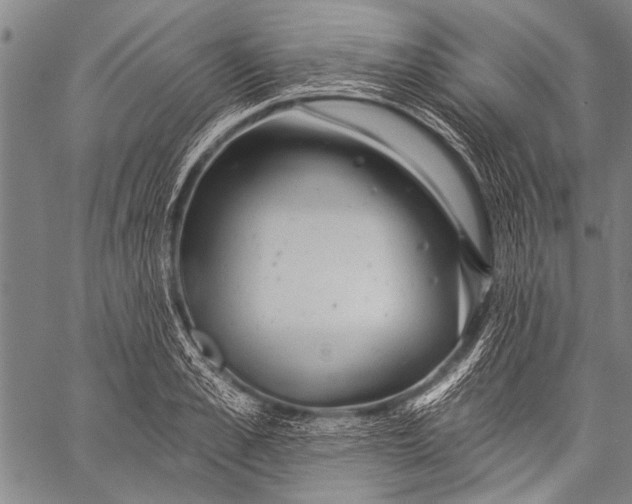 X0000057090989200509301546