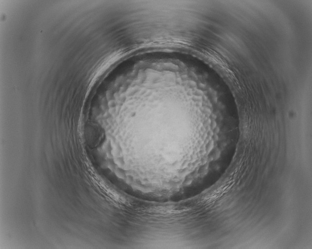 X0000057090990200509301546