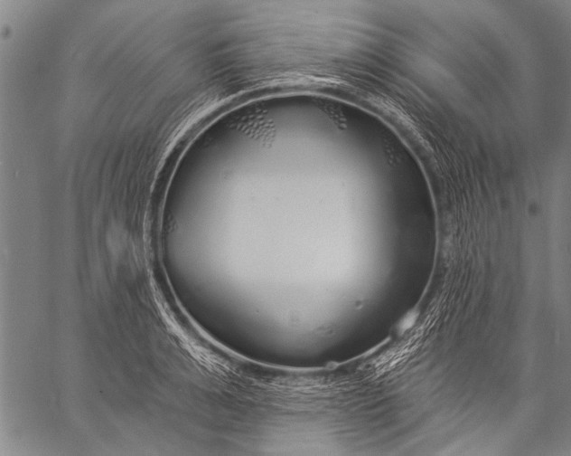 X0000057090991200509301546