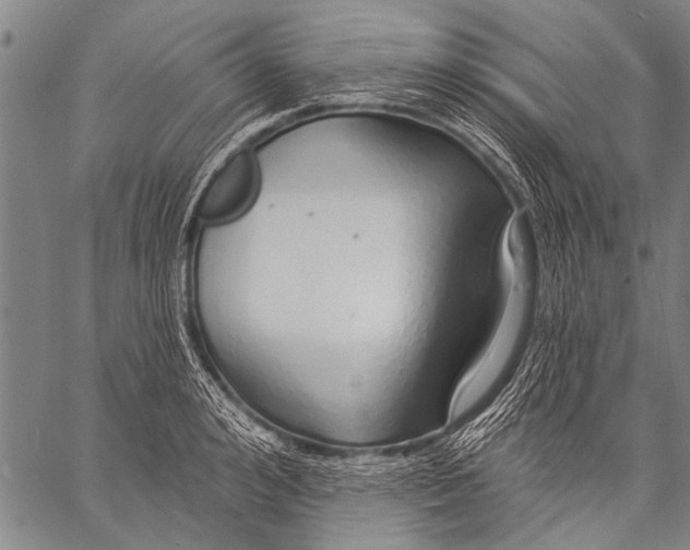 X0000057090992200509301546