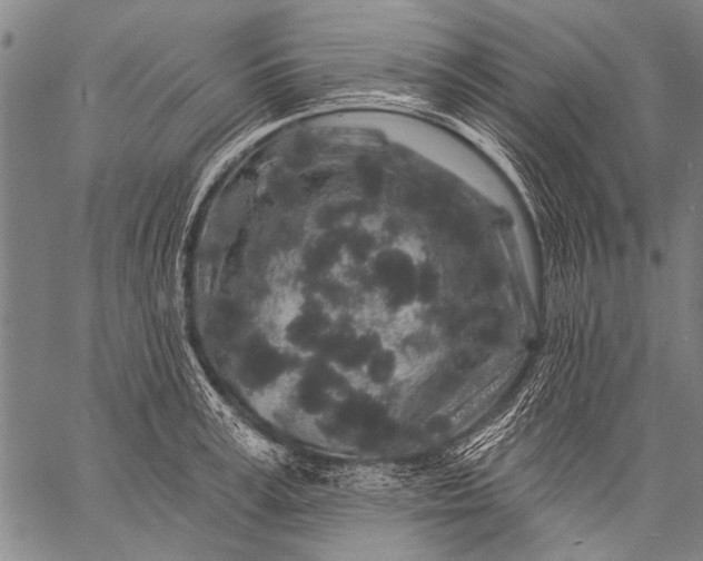 X0000057090995200509301546