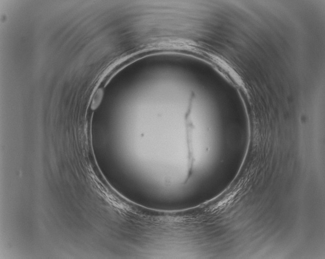 X0000057090996200509301546