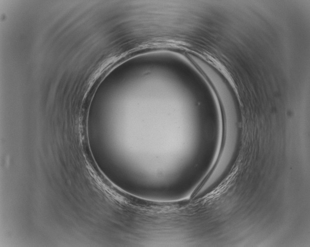 X0000057090997200509301546