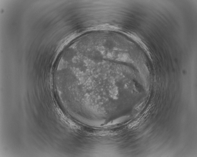 X0000057090998200509301546