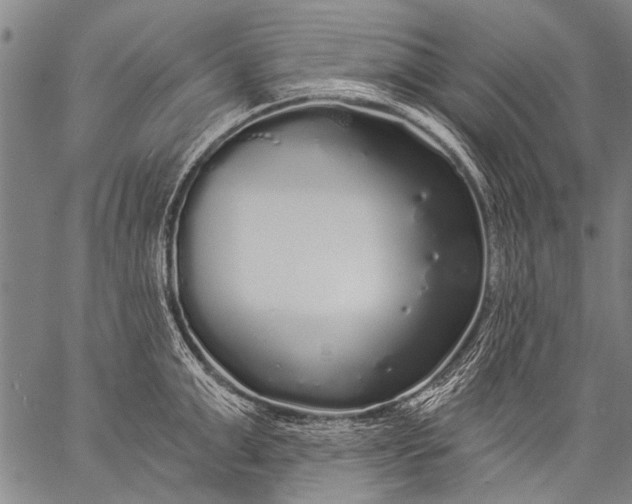 X0000057090999200509301546