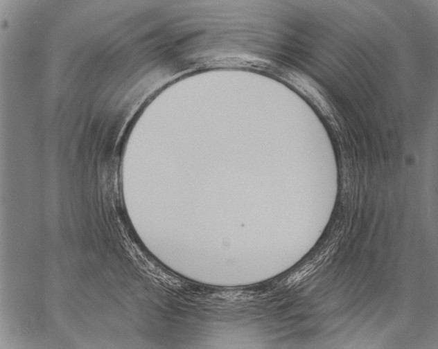 X0000057091000200509301546