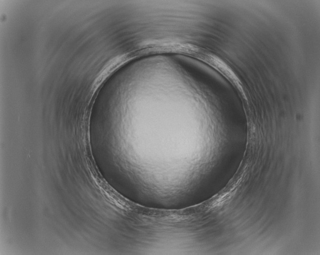 X0000057091002200509301546