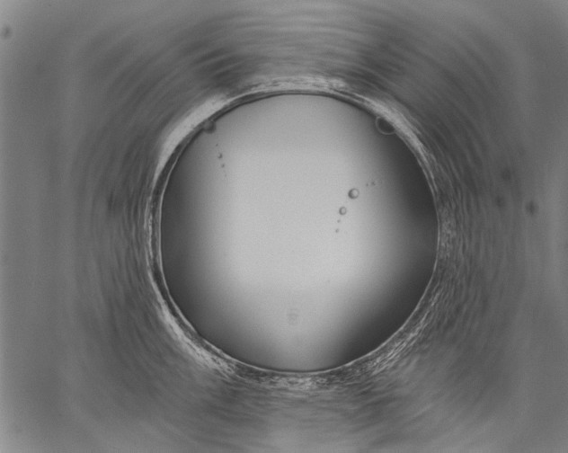 X0000057091003200509301546