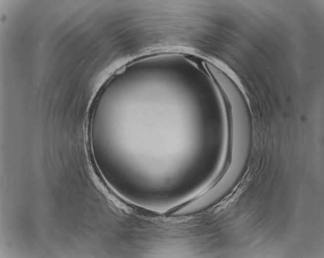 X0000057091005200509301546