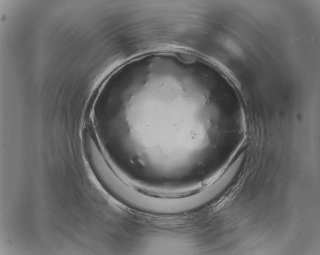 X0000057091007200509301546