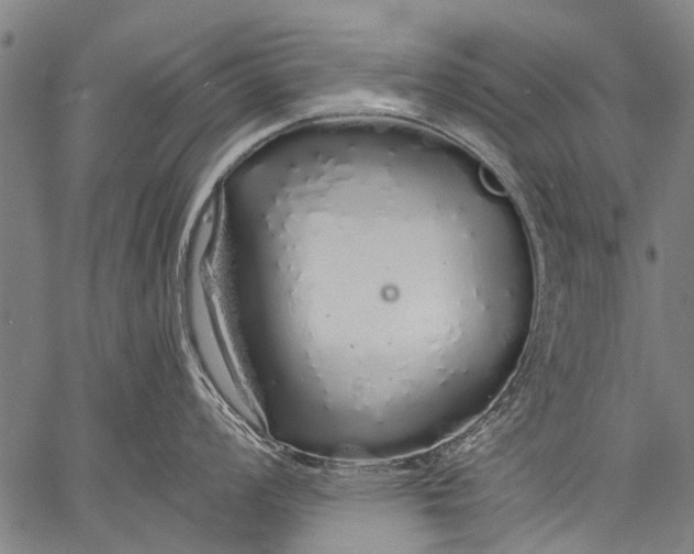 X0000057091008200509301546