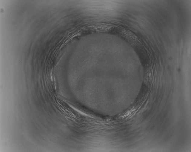 X0000057091010200509301545