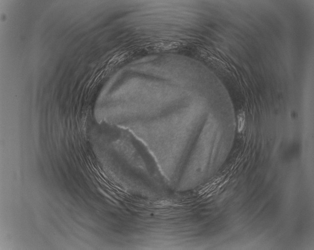 X0000057091011200509301545