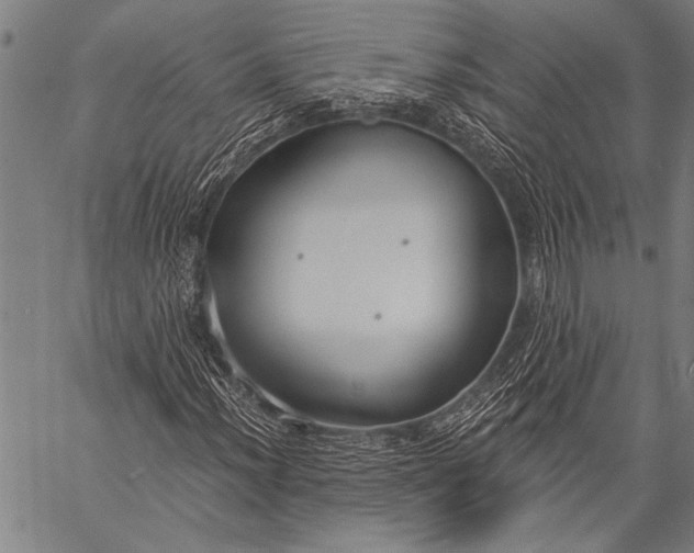 X0000057091012200509301545