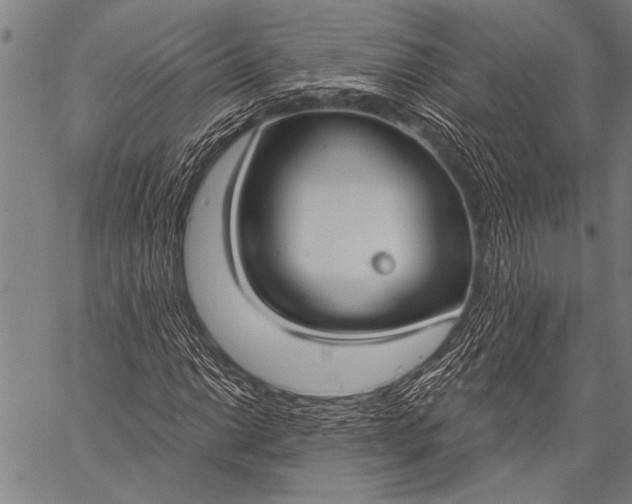 X0000057091014200509301545