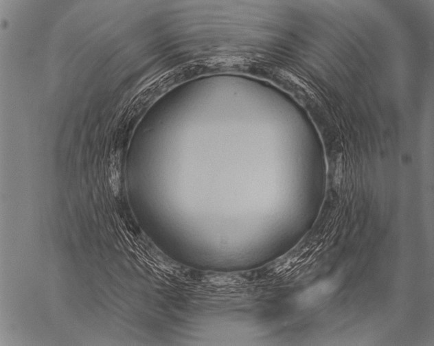 X0000057091015200509301545