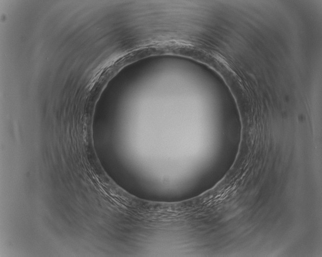 X0000057091016200509301545