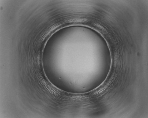 X0000057091017200509301545