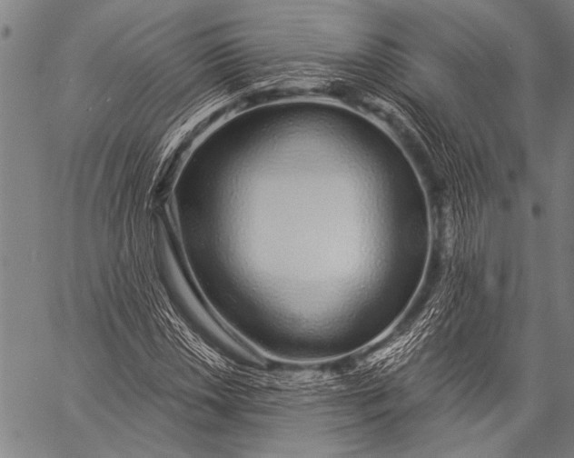 X0000057091018200509301545