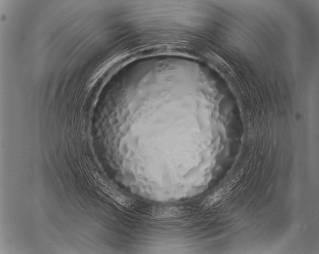 X0000057091019200509301545