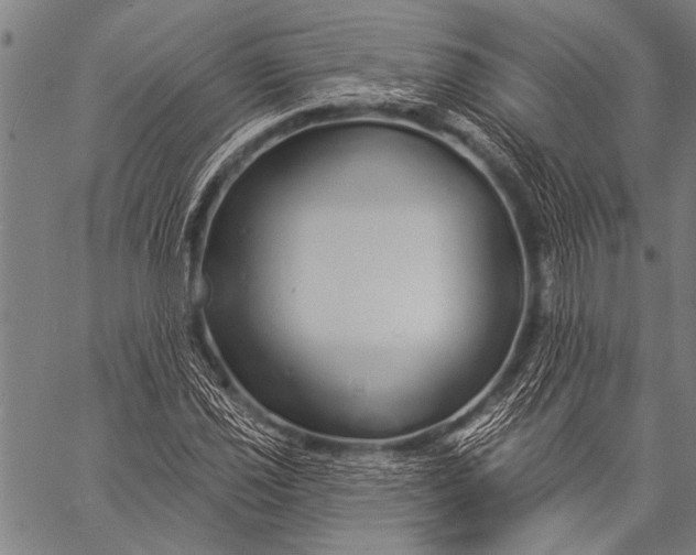 X0000057091021200509301545