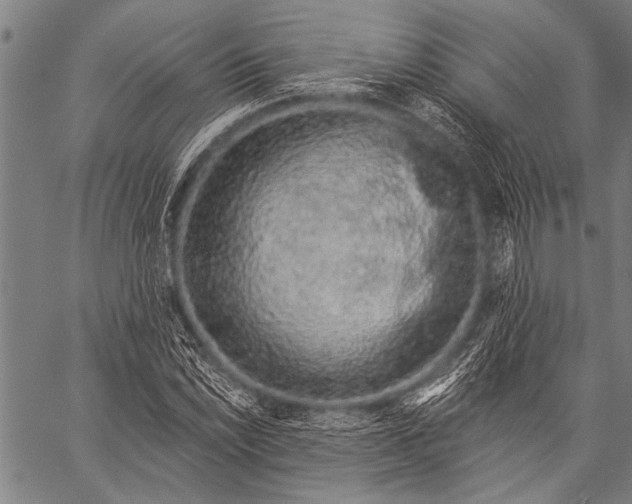 X0000057091022200509301545