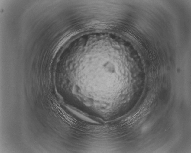 X0000057091023200509301545