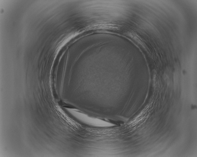 X0000057091024200509301545