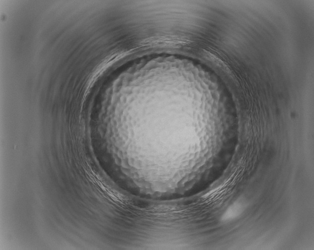 X0000057091027200509301545