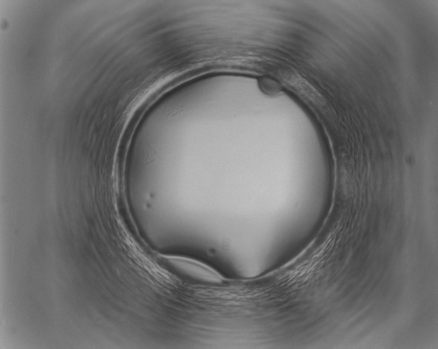 X0000057091028200509301545