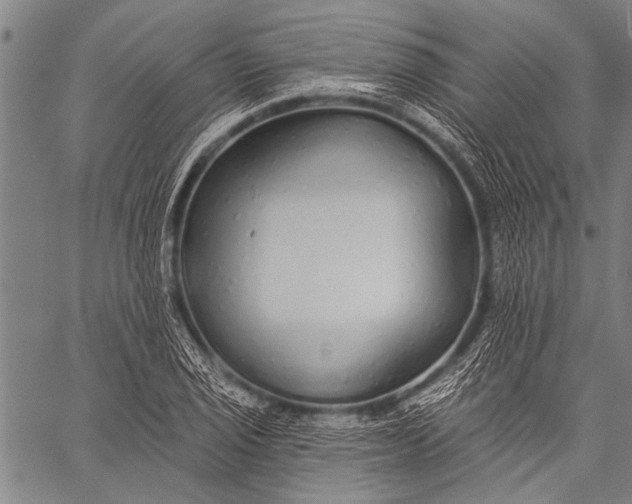 X0000057091029200509301545