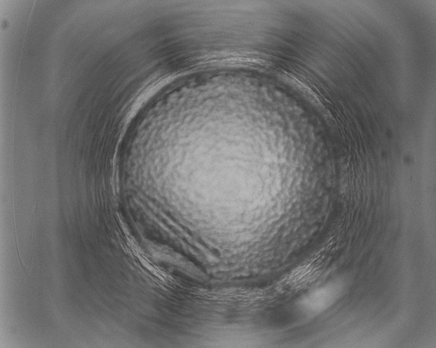 X0000057091031200509301545