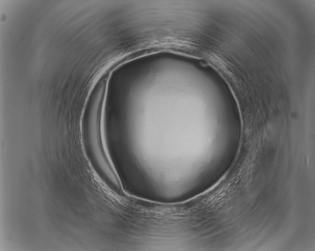 X0000057091032200509301545