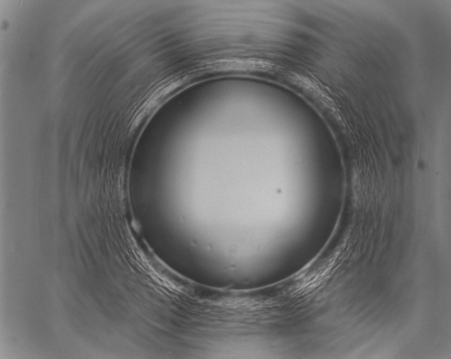 X0000057091033200509301545