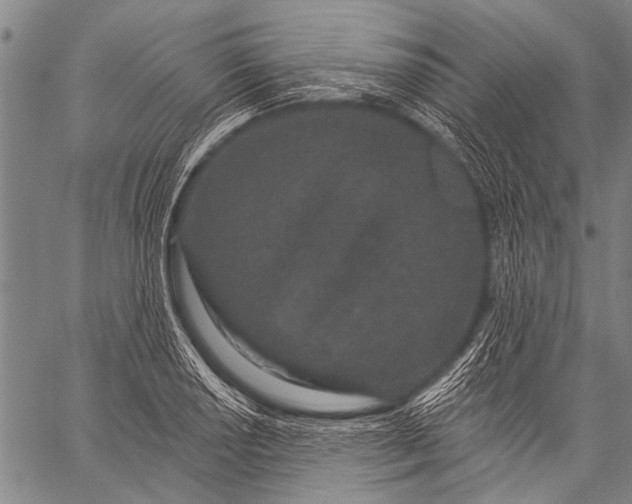 X0000057091034200509301546