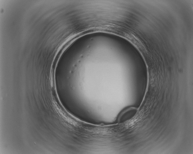 X0000057091036200509301546