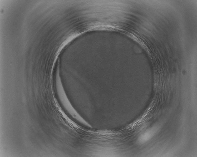 X0000057091037200509301546