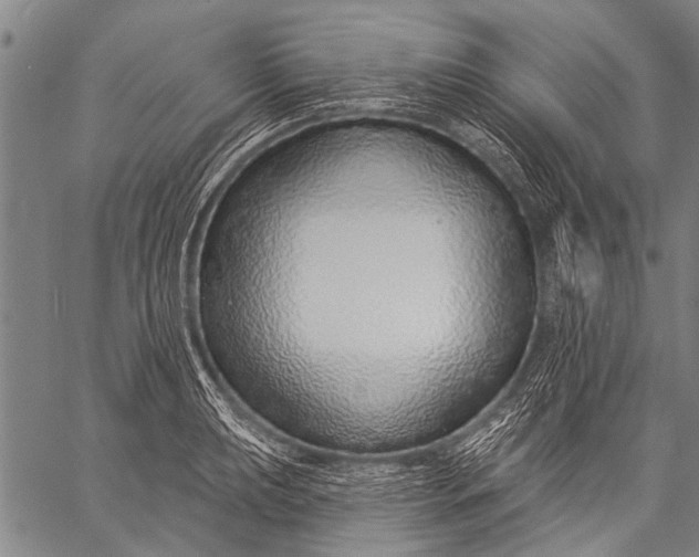 X0000057091039200509301546