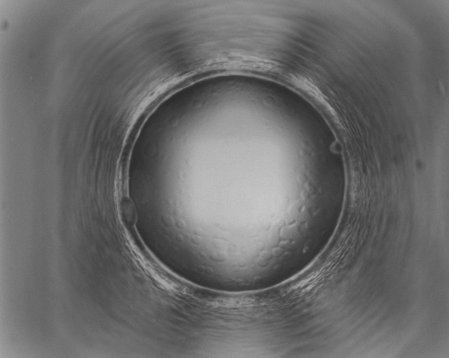 X0000057091040200509301546