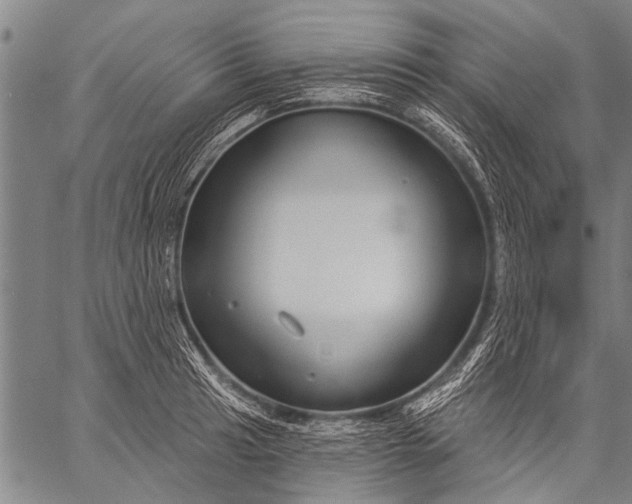 X0000057091041200509301546