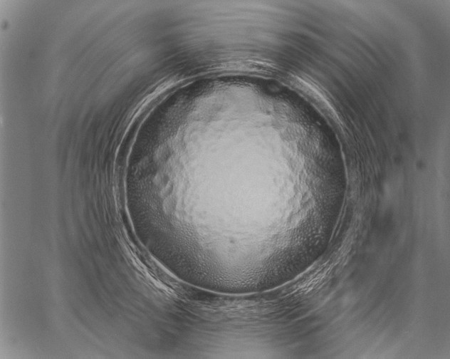 X0000057091043200509301546