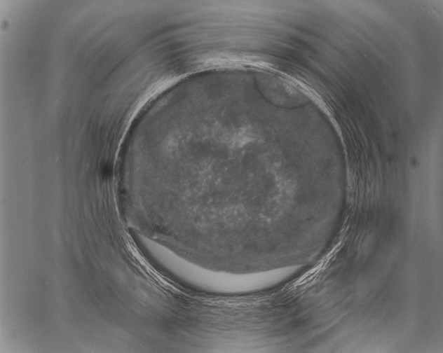 X0000057091045200509301546